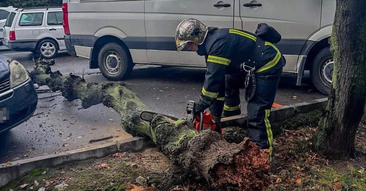 Рятувальники Вінниччини вчора тричі виїздили на ліквідацію наслідки негоди