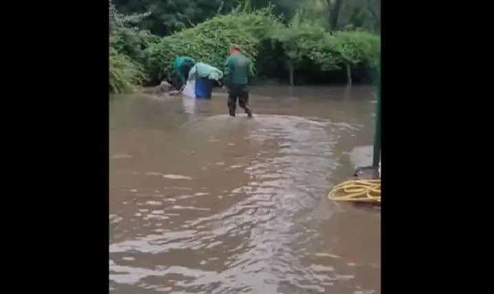 Зображення