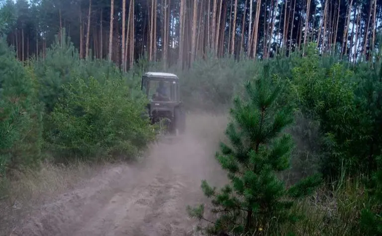 Запобігання лісовим пожежам у Дарниці: відновлено 1400 км бар'єрів