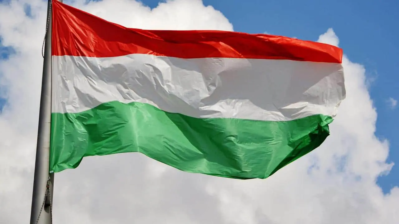Міноборони Угорщини заявило, що не запускало дрони в Україну