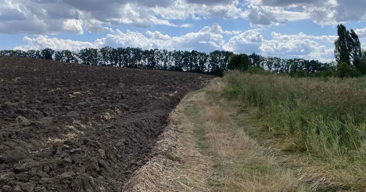На Вінниччині виявили факти розорювання та самовільного зайняття земельних ділянок