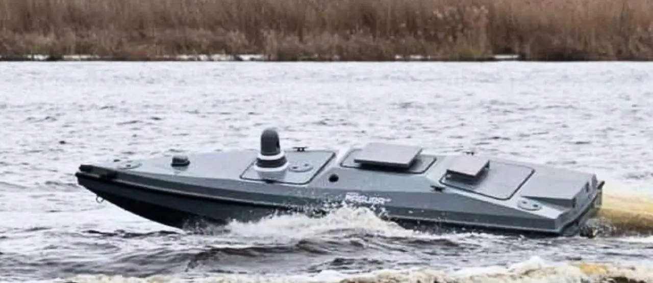 Вибух у Новоросійську: загинули російські водолази під час спроби