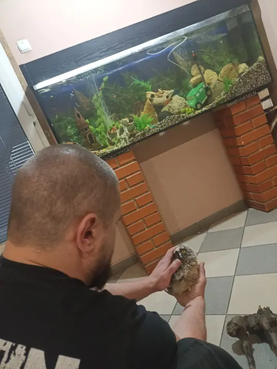 Зображення