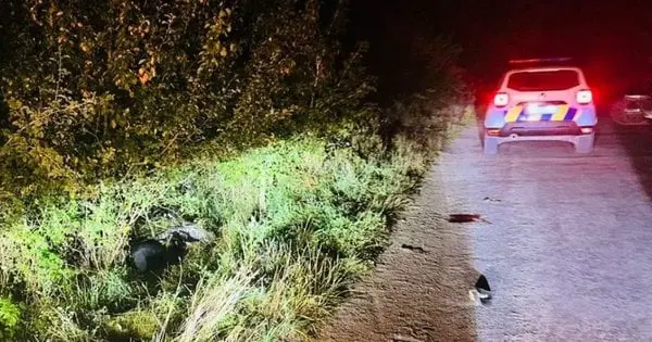 В аварії біля Франківська загинув 44-річний водій мопеда