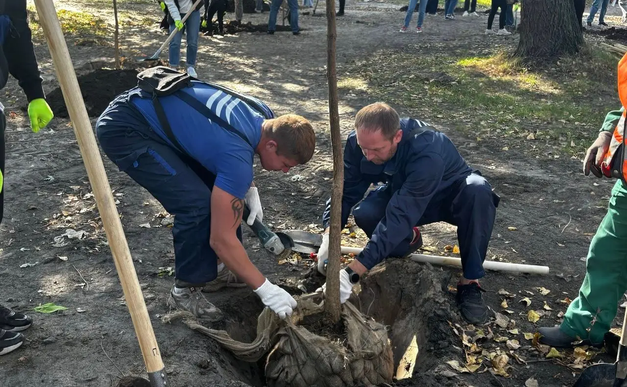 На Долобецькому острові в Києві висадили 44 катальпи