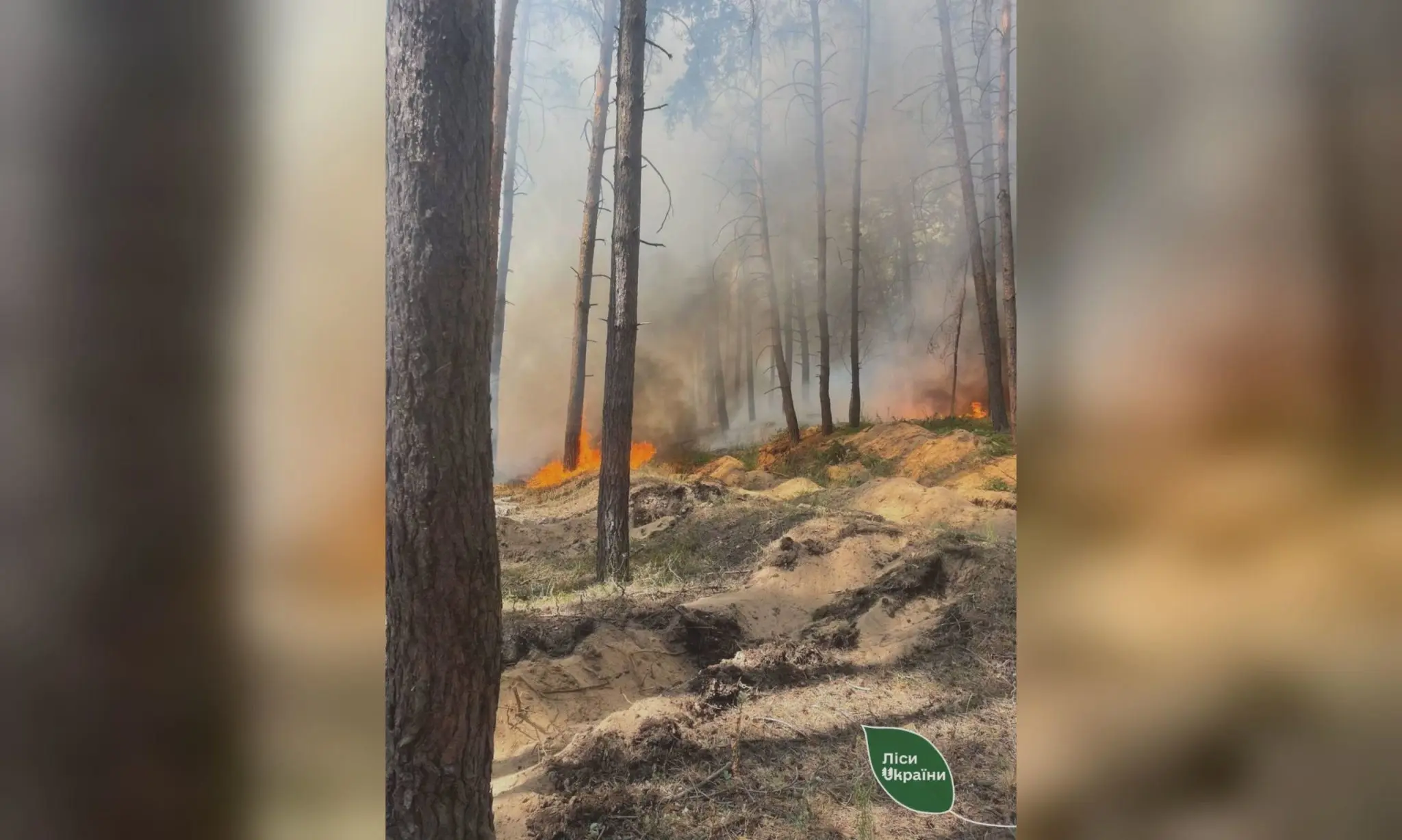 Великі загоряння у харківських лісах виникли через обстріли й атаки БпЛА