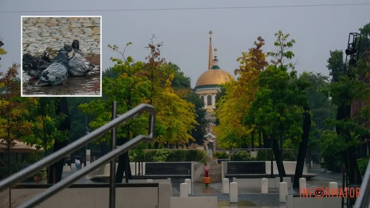 Погода на 26 серпня: у Дніпрі буде хмарно