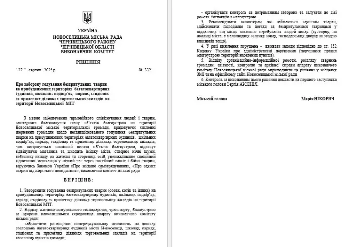 У Новоселицькій громаді заборонили підгодовувати безпритульних собак