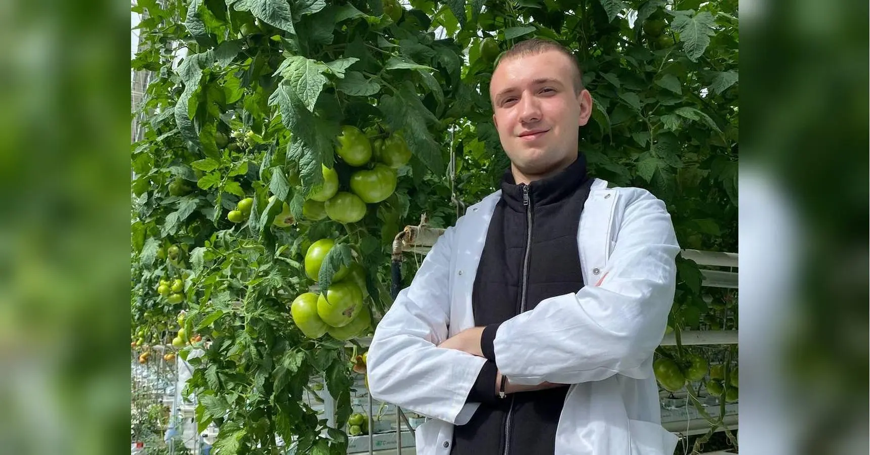 На стінах досі залишилися сліди — міна влучила в теплицю й зруйнувала її: як 19-річний студент створив «томатний рай» на Чернігівщині
