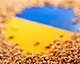 Трейдери української пшениці через обмеження експорту до ЄС змінюють експортний вектор на ринки Азії