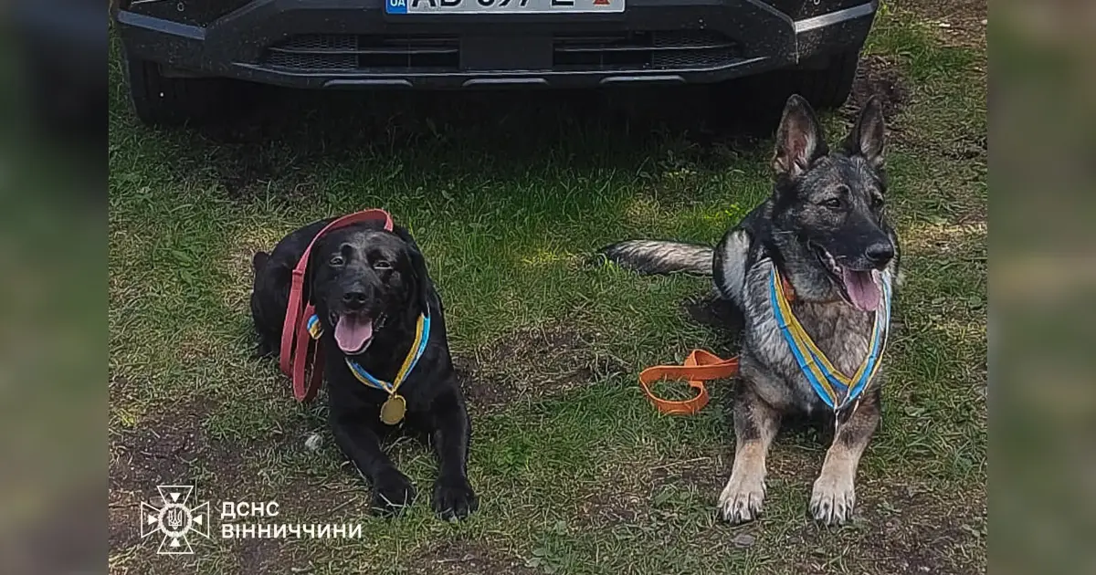 Вінницькі собаки-рятувальники вибороли призові місця на атестації ДСНС