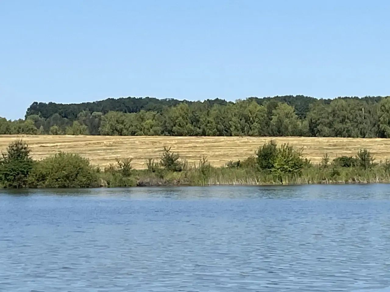 На Вінниччині біля водойм невідомі розорали прибережні смуги