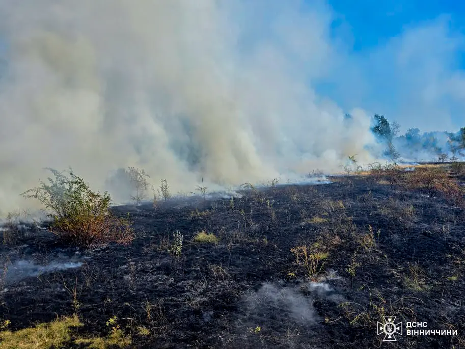 На Вінниччині вчора вогнем було обпалено понад сім гектарів землі