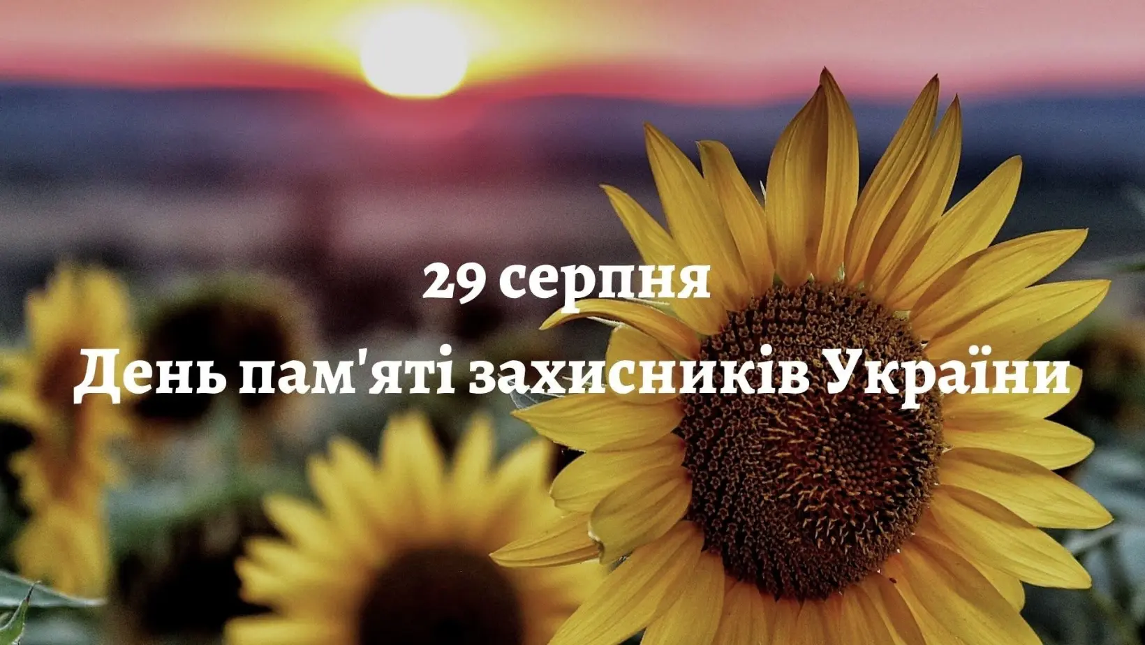 Презентація картин та створення інсталяції: у Вінниці відбудуться заходи до Дня памʼяті загиблих воїнів
