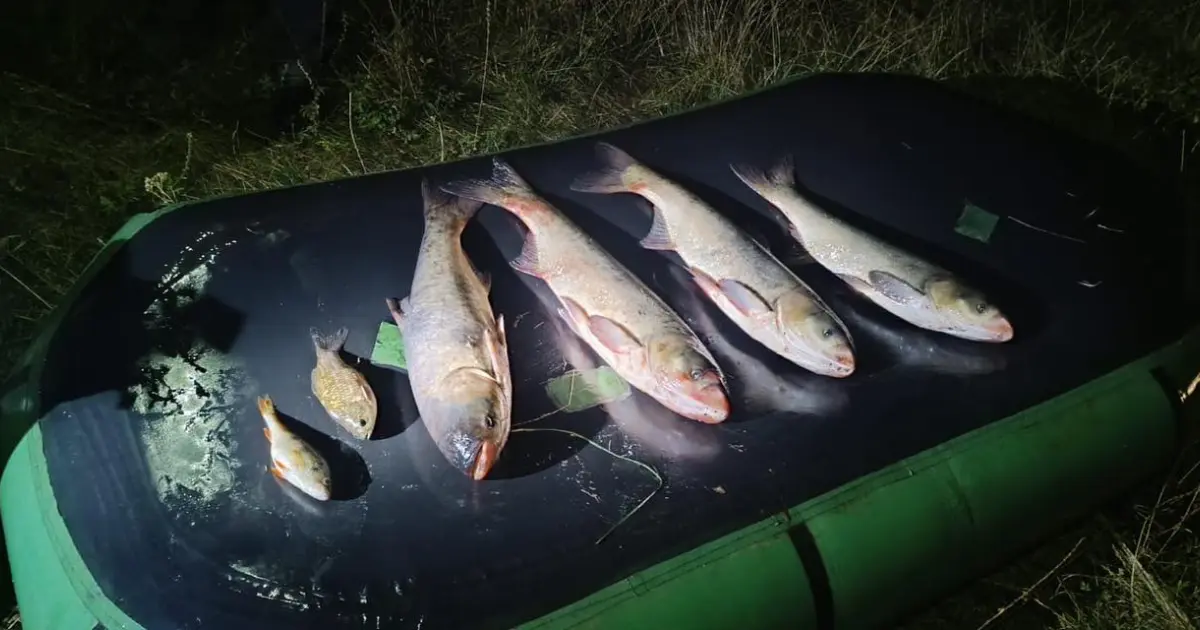 На Вінниччині вночі двоє громадян незаконно виловили понад 12 кг риби