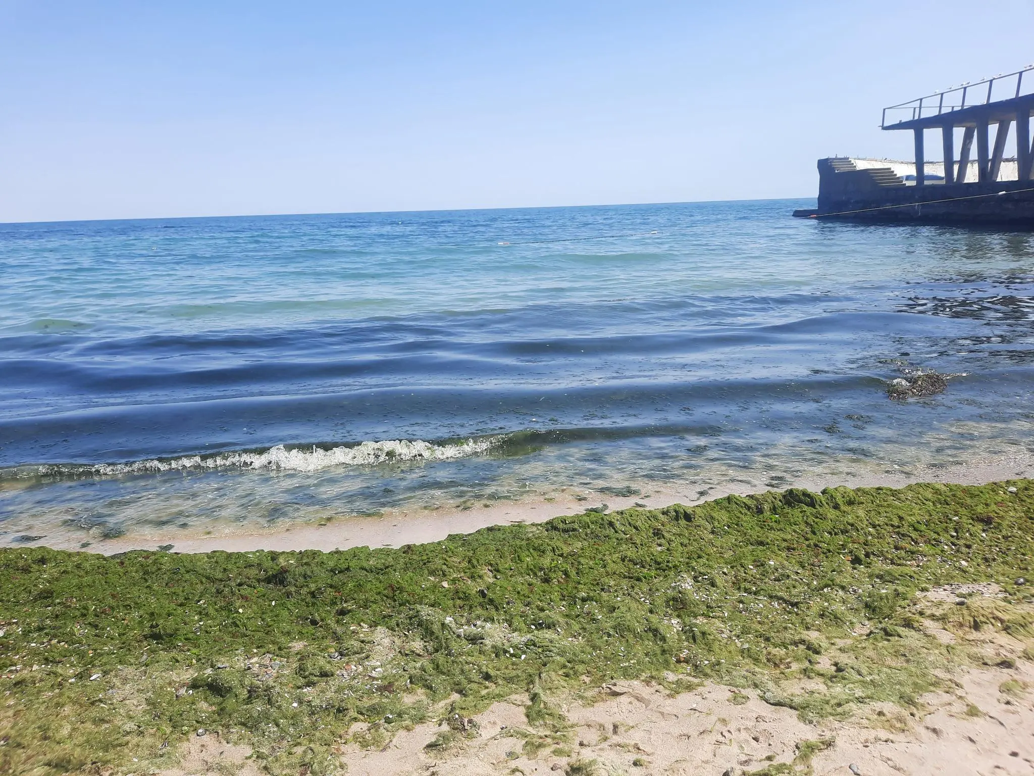 Моніторинг стану екосистеми через забруднення водоростями в Одесі