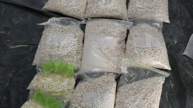 У Німеччині з продуктового магазину вилучили наркотики на 20 млн євро