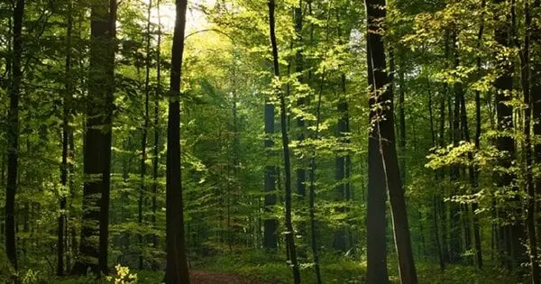 У Львова знайшли мертвого зниклого юнака