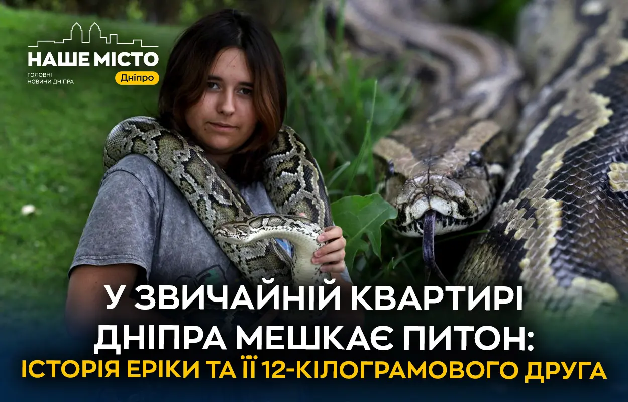 Триметровий улюбленець: у Дніпрі школярка виховує 12-кілограмового тигрового пітона