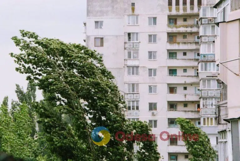 Синоптики попереджають про посилення вітру в Одесі та області