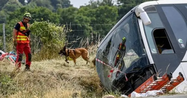 Після ДТП у Франції водієві автобуса із чернівецькими школярами інкримінують ненавмисне вбивство