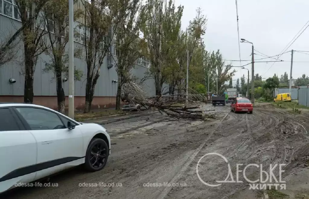 Одеса після потужної зливи: затоплені вулиці, повалені дерева і хаос у будинках (фоторепортаж)