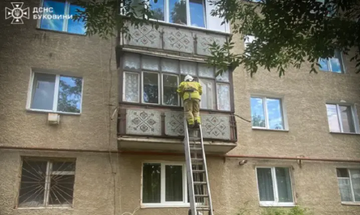 Зображення