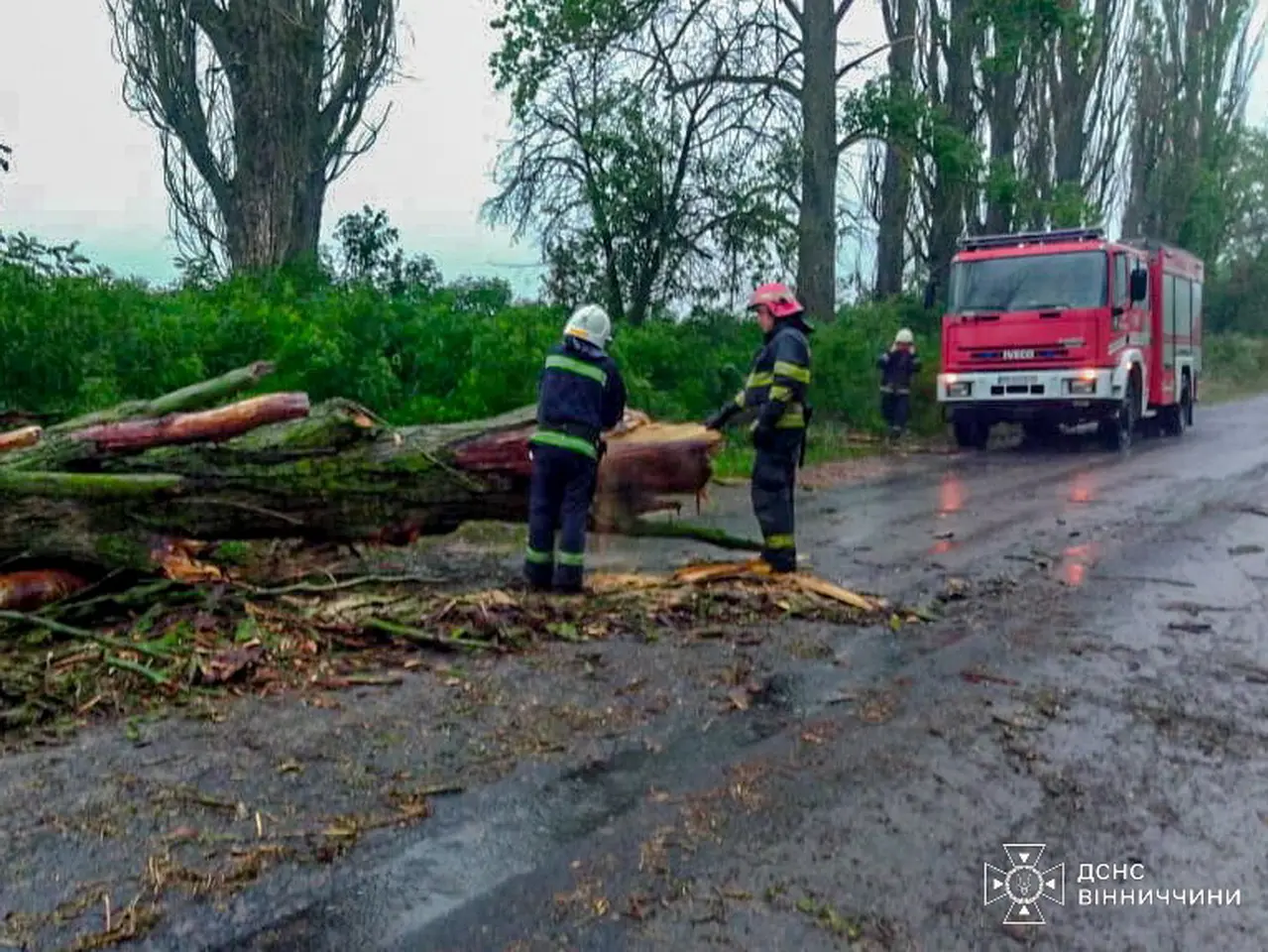 Погодні умови у Вінницькій області: падіння дерев та наслідки негоди