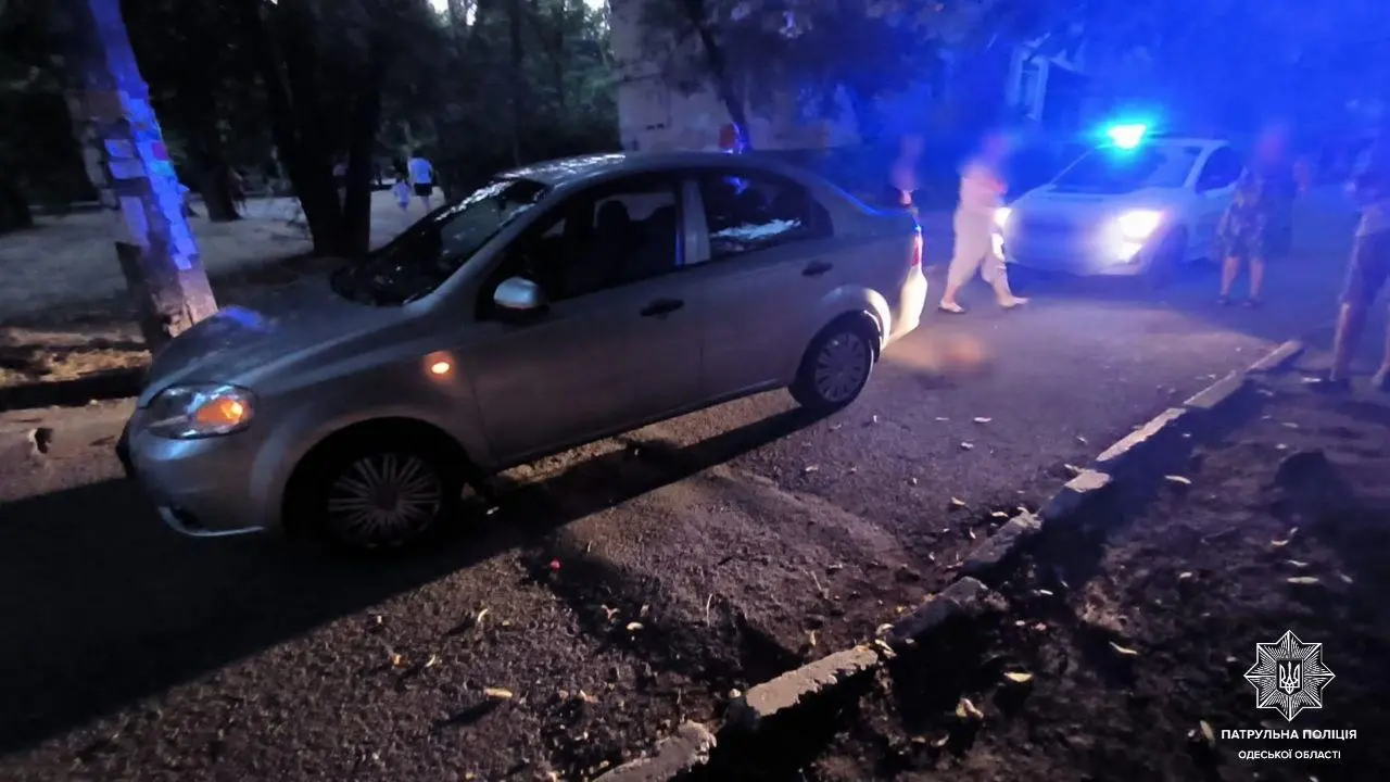 В Одесі легковик на смерть збив собаку