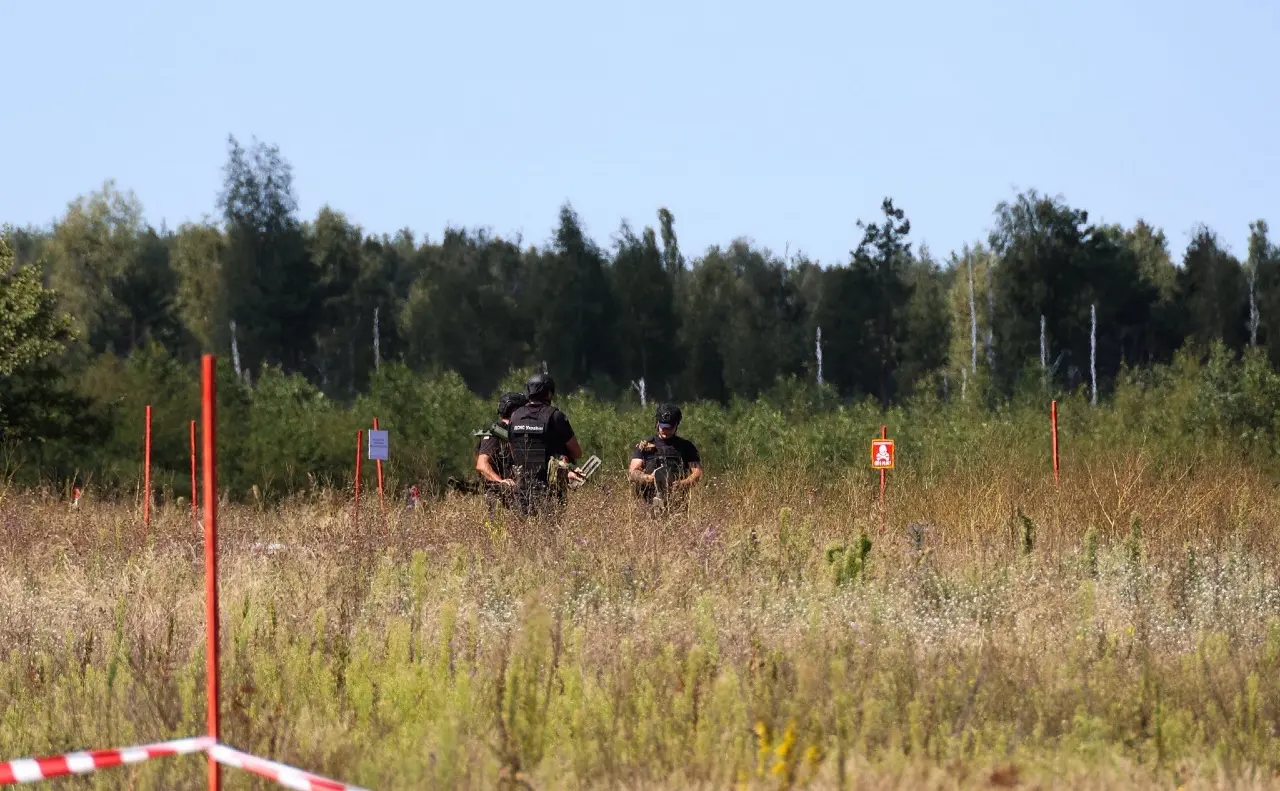 Розмінування Київщини: понад 846 тисяч гектарів потребують очищення