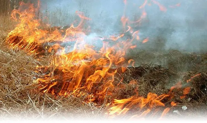 Пожежна небезпека у Чернівецькій області 10 серпня