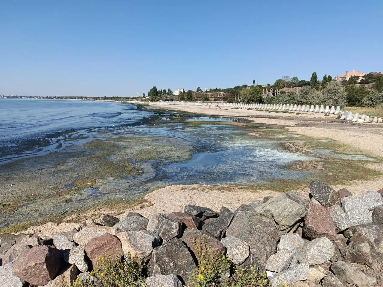 «Почорніле море» у Крижанівці: фахівці зафіксували нестачу кисню та небезпечну для водних організмів токсичну сполуку