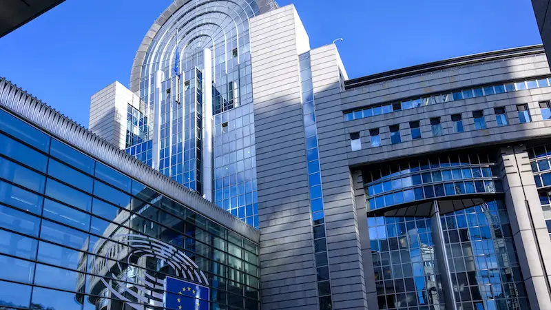 Німецький євродепутат скаржиться на польського колегу через погрози