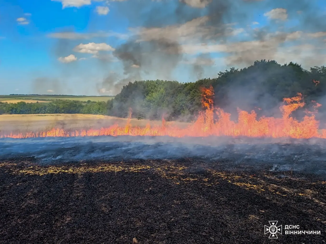На Вінниччині вчора в екосистемах сталось дев’ять пожеж