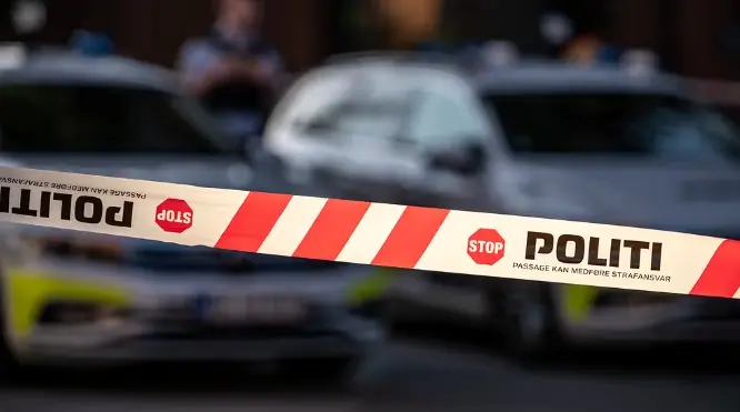 У Данії 17-річного підлітка зі Швеції засудили до 8 років в’язниці за замовне вбивство