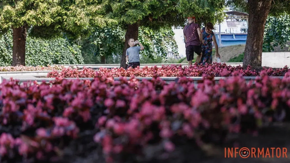 Погода в Дніпрі на 29 серпня: Ясно та тепло