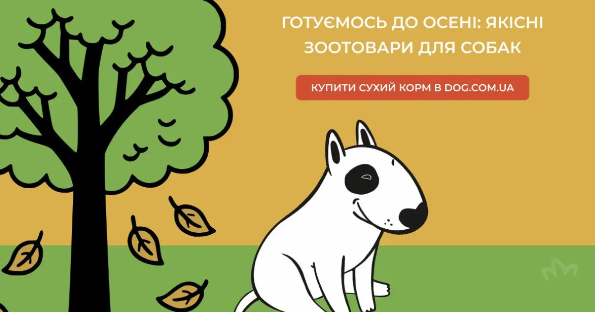 Що варто змінити у догляді за собакою під час підготовки до осені та яку роль у цьому відіграє сухий собачий корм?