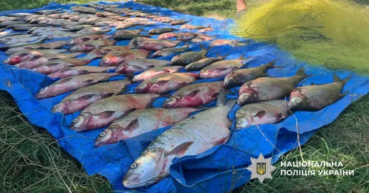 На Буковині викрили двох рибалок-браконьєрів із уловом на понад 186 тис. грн