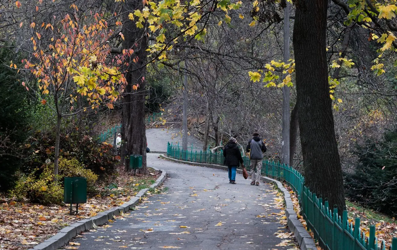 Холодні ночі та дощова неділя: прогноз на останні вихідні вересня