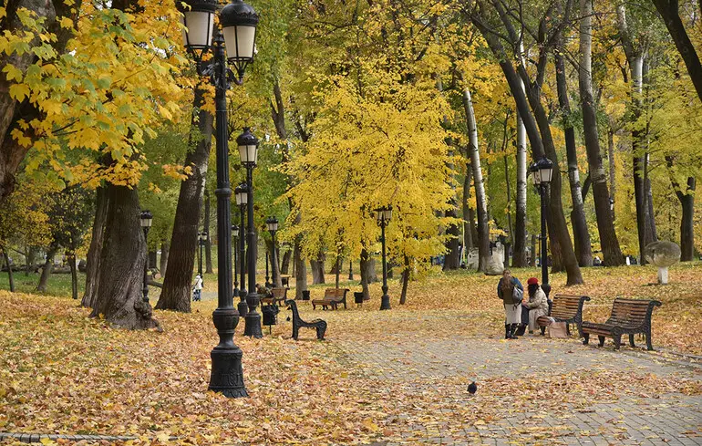 Осіннє похолодання: синоптик попередив про заморозки