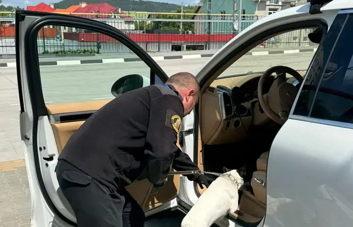 Собака вінницьких митників допоміг знайти канабіс у водія Porsche