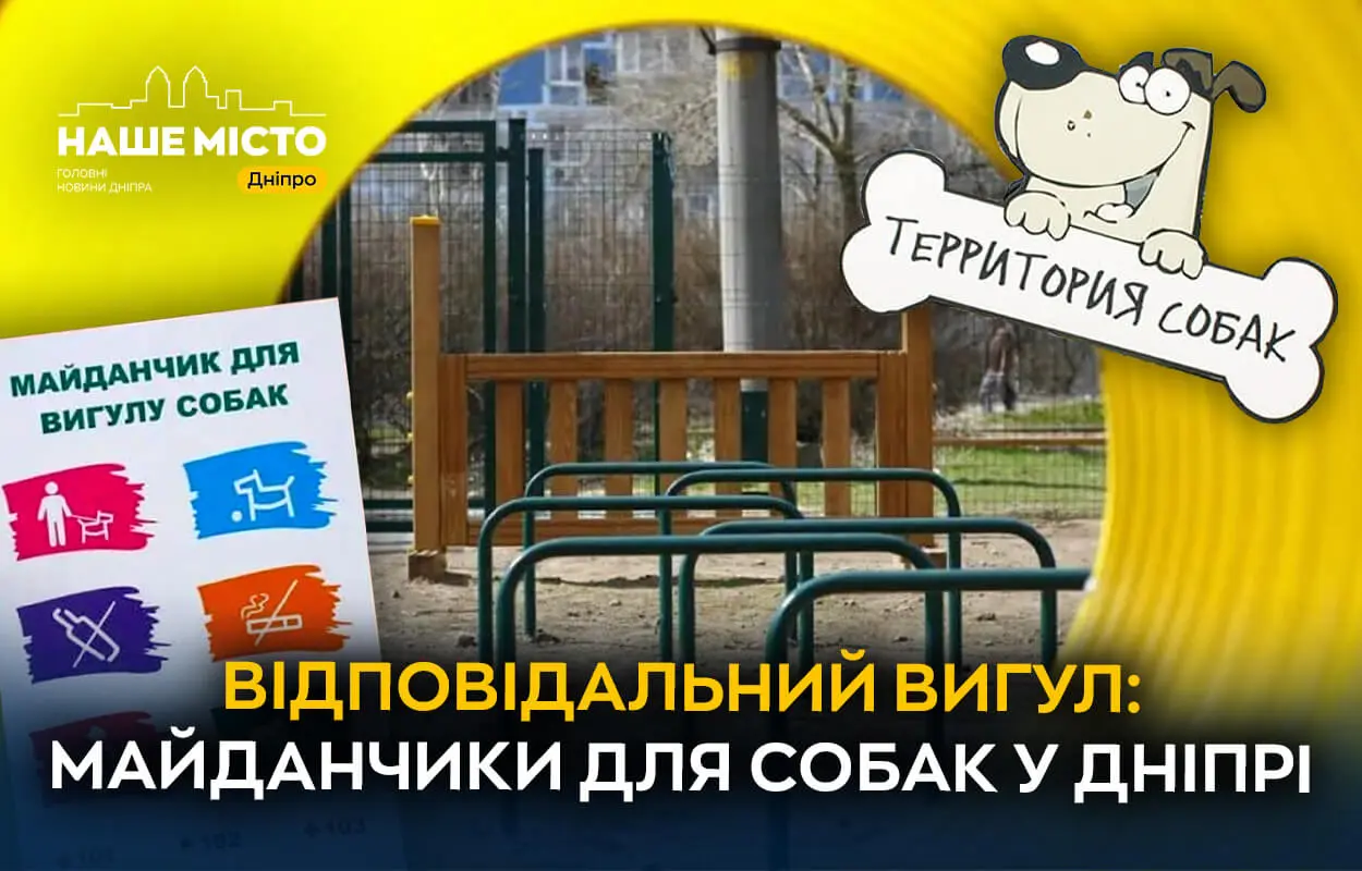 Безпечний простір для тварин: як працюють сім спеціальних майданчиків для собак у Дніпрі