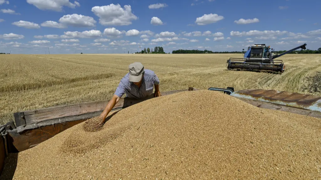 Зарплати в агросекторі України зросли на 15% за рік