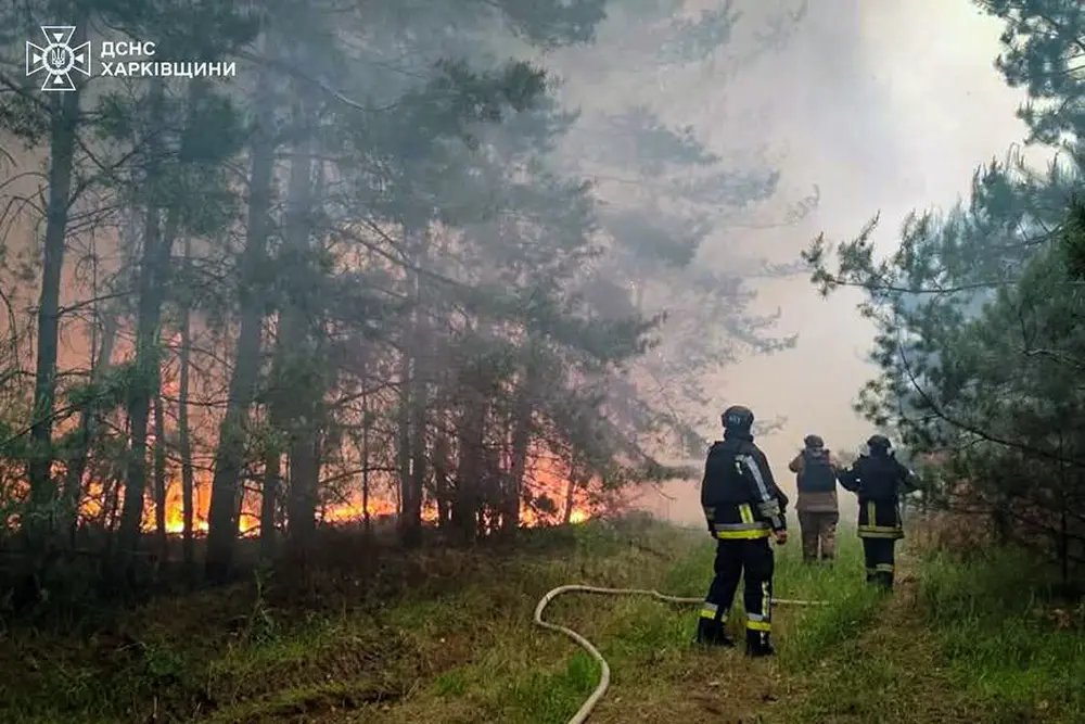 Масштабні лісові пожежі на Харківщині через російські обстріли