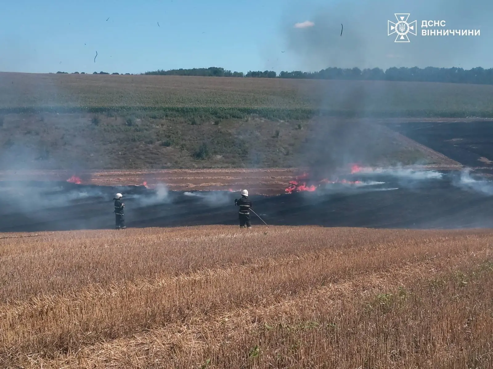 На Вінниччині ліквідовано вісім пожеж на відкритих територіях