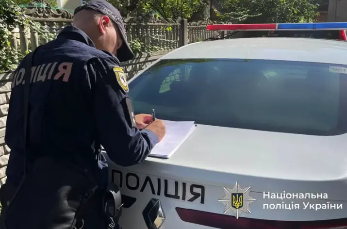 На Прикарпатті водій збив отару овець у Ворохті та залишив місце ДТП