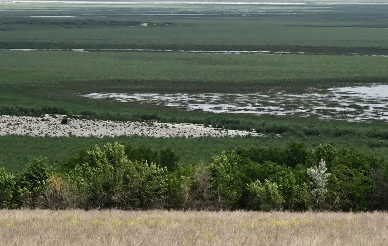 Відновлення Каховського водосховища може знищити ліси й завдати Україні мільярдних збитків — експерт 