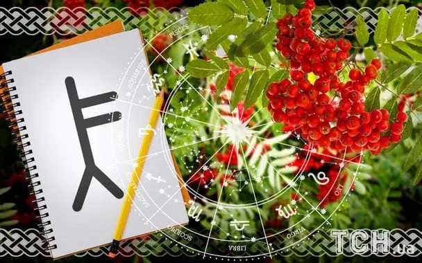 Кельтський гороскоп на 14 серпня 2025 року: що зірки обіцяють