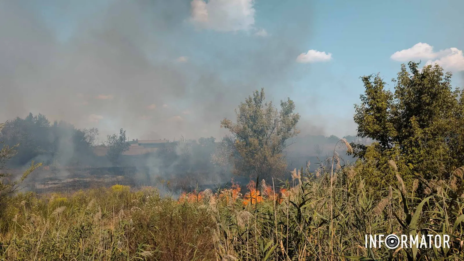 Дим видно з різних точок міста: у Дніпрі на Передовій масштабно палає сухостій, на місці працюють рятувальники