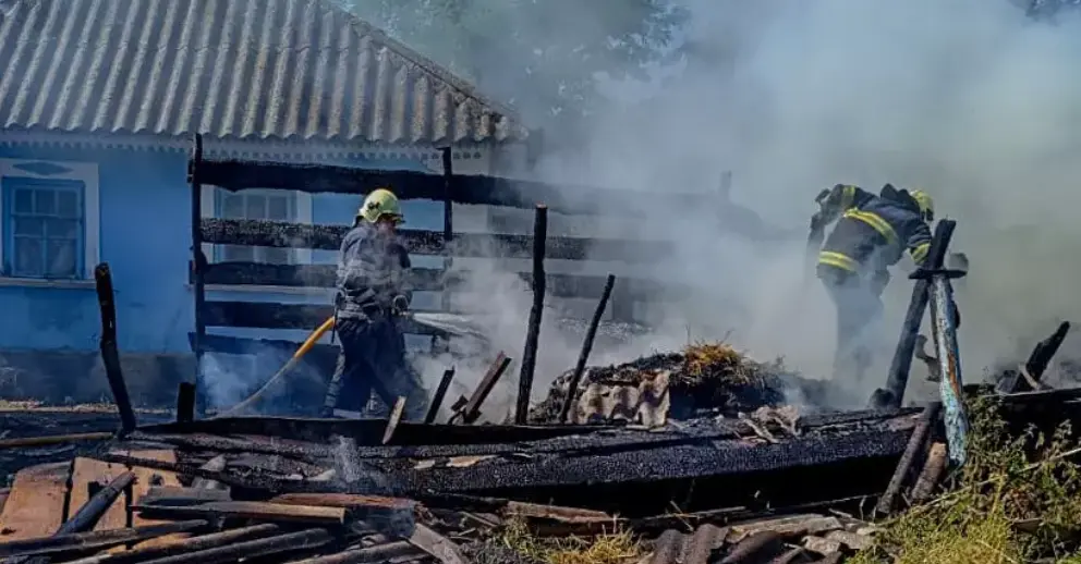 На Вінниччині через дитячі пустощі з вогнем згорів центнер сіна